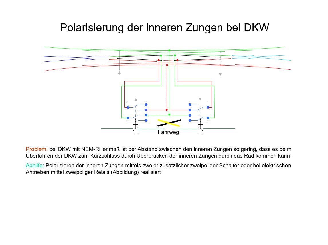 Zungenpolarisierung_DKW